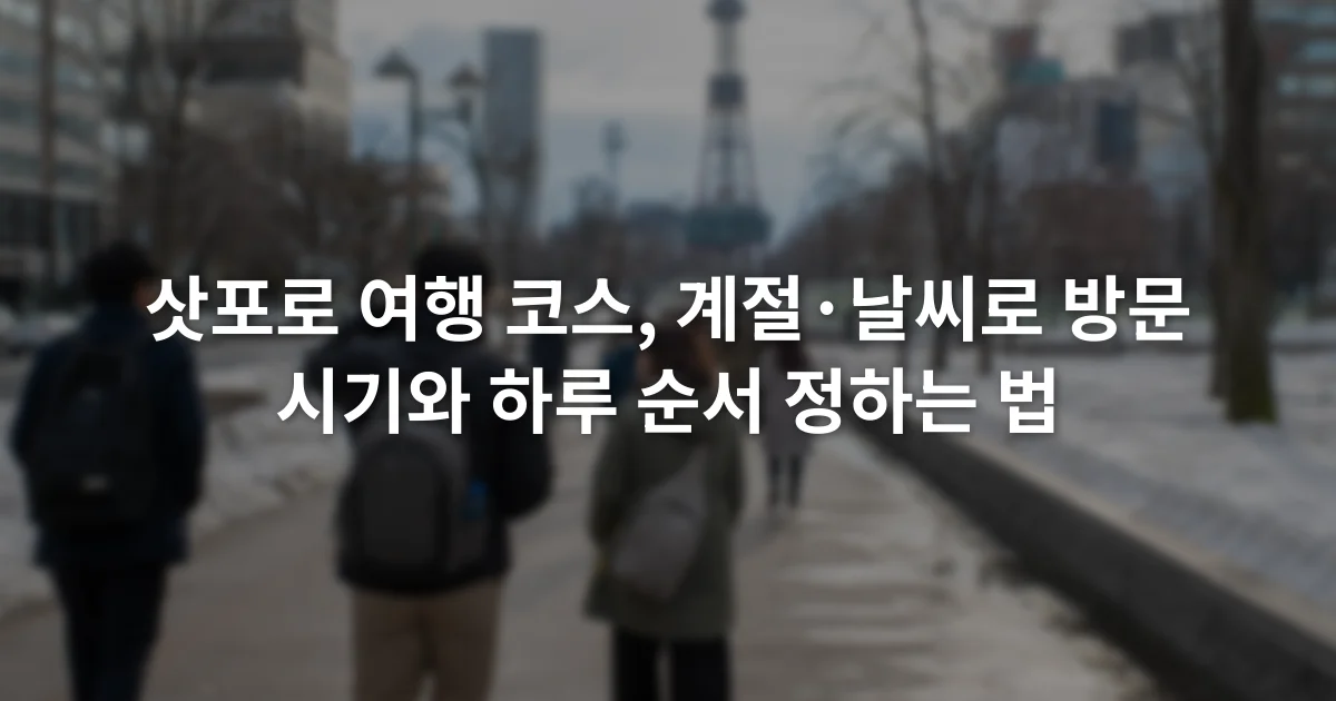 눈이 남은 삿포로 도심 보도와 오도리 방향을 걷는 여행자들